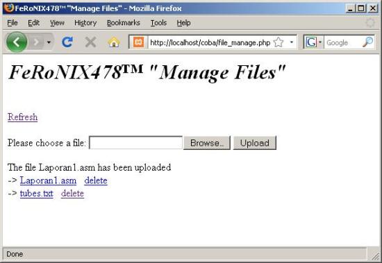 manage_file1
